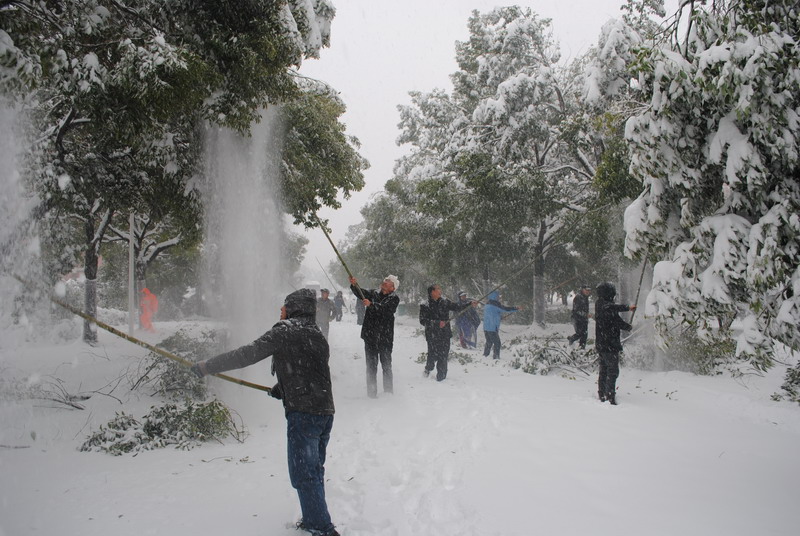 淮南師范學院召開抗雪防災工作會議，加強校園安全工作