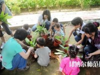 貴陽(yáng)2020年幼師學(xué)校屬于什么學(xué)歷