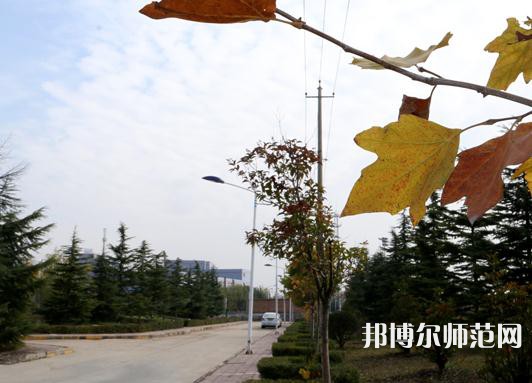 陜西職業(yè)技術(shù)師范學院2023年報名條件、招生要求、招生對象 
