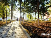長春大學(xué)師范學(xué)院主校區(qū)2023年報(bào)名條件、招生要求、招生對(duì)象