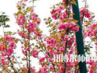 長(zhǎng)沙理工師范大學(xué)金盆嶺校區(qū)2023年招生計(jì)劃