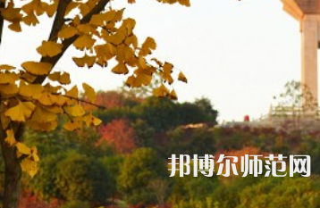 長(zhǎng)沙理工師范大學(xué)金盆嶺校區(qū)2023年有哪些專業(yè)