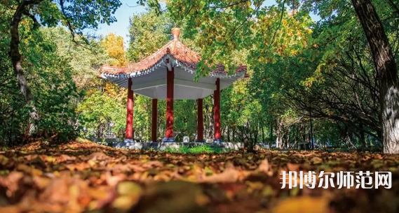 黑龍江師范大學(xué)2023年報(bào)名條件、招生要求、招生對(duì)象 