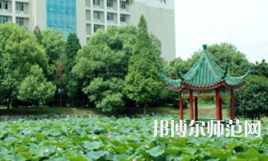 湖南科技大學(xué)瀟湘師范學(xué)院2023年招生代碼