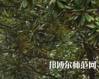 湖南師范大學(xué)樹達(dá)學(xué)院2023年學(xué)費(fèi)、收費(fèi)多少
