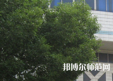 湖南師范大學(xué)樹達(dá)學(xué)院2023年有哪些專業(yè)