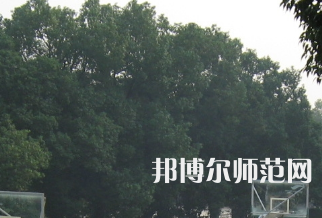 湖南師范大學(xué)樹(shù)達(dá)學(xué)院2023年招生代碼