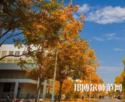 南京師范大學(xué)泰州學(xué)院2023年報(bào)名條件、招生要求、招生對象