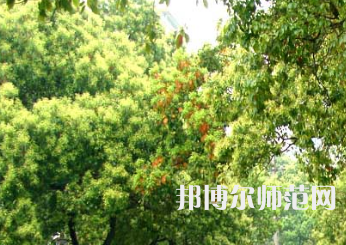 衡陽師范學(xué)院南岳學(xué)院2023年怎么樣、好不好