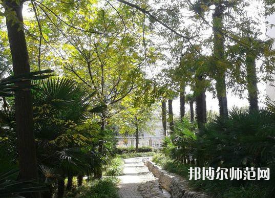 西北大學(xué)師范學(xué)院桃園校區(qū)2023年怎么樣、好不好